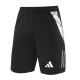 25-26 AD Soccer shorts Thailand Quality