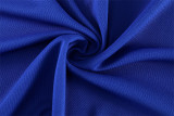 2026 P018 (blue) Polo Jersey Thailand Quality
