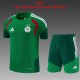 Kids kit 2026 Algeria (Training clothes) Thailand Quality