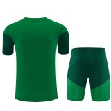 2026 Algeria (Training clothes) Set.Jersey & Short High Quality