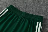 2026 Algeria (green) Adult Sweater tracksuit set