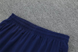 2026 France (Colorful Blue) Polo Short Thailand Quality set