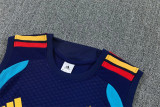 2026 Spain (vest) Set.Jersey & Short High Quality