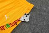 2026 Ghana (vest) Set.Jersey & Short High Quality