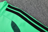 2026 Spain (green) Adult Sweater tracksuit set