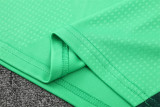 2026 Spain (green) Adult Sweater tracksuit set