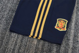 Kids kit 2008 Spain Away (Retro Jersey) Thailand Quality