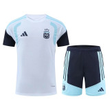 2026 Argentina (Player Version) Set.Jersey & Short High Quality