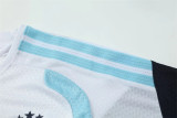 2026 Argentina (Player Version) Set.Jersey & Short High Quality
