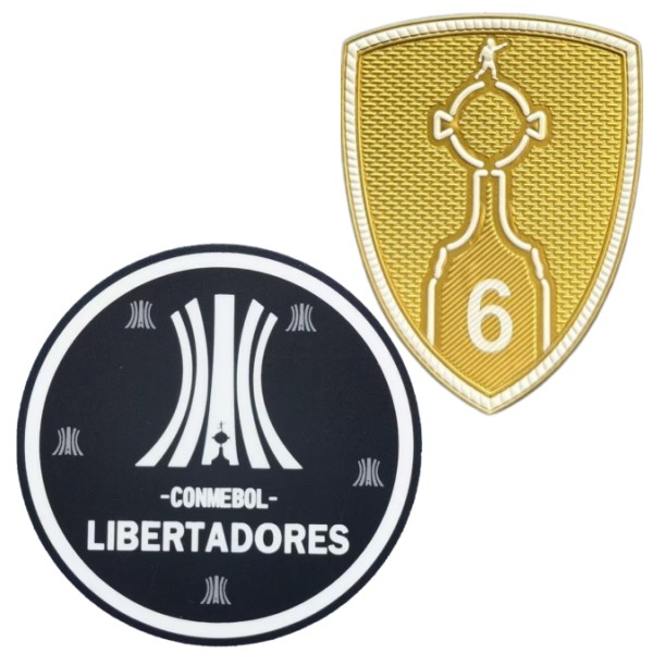 LIBERTADORES+6 cup