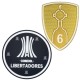LIBERTADORES+6 cup