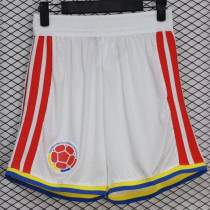 2026 Colombia Away (Player Version) Thailand Quality Soccer shorts