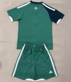 2026 Northern Ireland home Adult Jersey & Short Set Quality