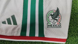 Player Version Kids kit 2026 Mexico home Thailand Quality