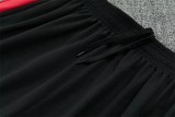 2026 Brazil (Training clothes) Adult Jersey & Short Set Quality