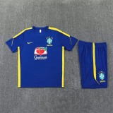 2026 Brazil (Training clothes) Adult Jersey & Short Set Quality