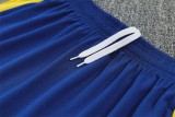 2026 Brazil (Training clothes) Adult Jersey & Short Set Quality