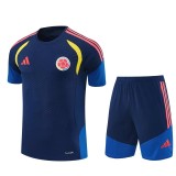 2026 Colombia (Training clothes) Adult Jersey & Short Set Quality