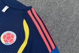2026 Colombia (Training clothes) Adult Jersey & Short Set Quality
