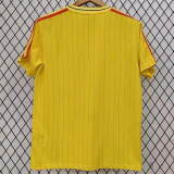 2026 Colombia (Special Edition) Fans Version Thailand Quality