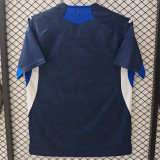 25-26 TSG 1899 Hoffenheim home Fans Version Thailand Quality
