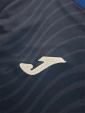 25-26 TSG 1899 Hoffenheim home Fans Version Thailand Quality