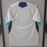 25-26 TSG 1899 Hoffenheim Third Away Fans Version Thailand Quality