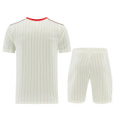 26-27 SL Benfica (beige) Set.Jersey & Short High Quality