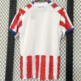 2026 Paraguay home Fans Version Thailand Quality