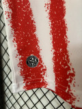 2026 Paraguay home Fans Version Thailand Quality