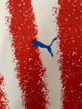 2026 Paraguay home Fans Version Thailand Quality