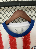 2026 Paraguay home Fans Version Thailand Quality