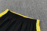 2026 Brazil (Training clothes) Adult Jersey & Short Set Quality
