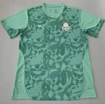 26-27 SE Palmeiras (goalkeeper) Fans Version Thailand Quality