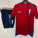 26-27 Catholic university (Training clothes) Adult Jersey & Short Set Quality