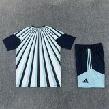 2026 Argentina (Training clothes) Set.Jersey & Short High Quality