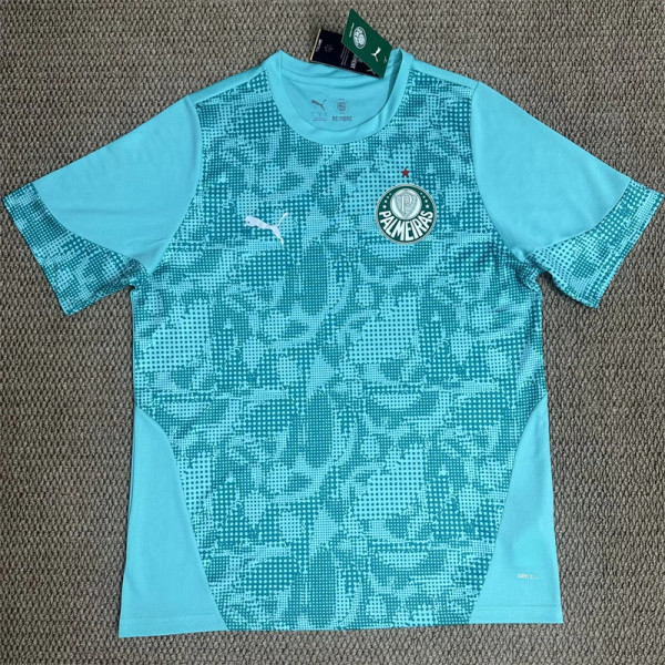 26-27 SE Palmeiras (Training clothes) Fans Version Thailand Quality