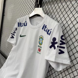 26-27 Brazil Polo Jersey Thailand Quality
