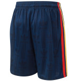 2026 Spain (Player Version) Soccer shorts Thailand Quality