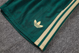 Player Version 2026 Italy (Training clothes) Adult Jersey & Short Set High Quality