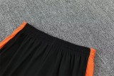 2026 Netherlands (orange) Adult Sweater tracksuit set Training Suit