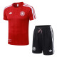 Player Version 2026 Germany (Special Edition) Set.Jersey & Short High Quality