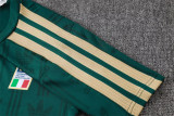 Player Version 2026 Italy (Training clothes) Adult Jersey & Short Set High Quality