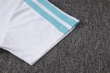 Player Version 2026 Argentina (Special Edition) Set.Jersey & Short High Quality