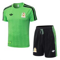 Player Version 2026 Mexico (Special Edition) Set.Jersey & Short High Quality