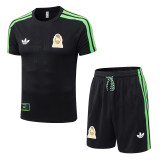 Player Version 2026 Mexico (Special Edition) Set.Jersey & Short High Quality