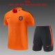 Kids kit 2026 Netherlands (Training clothes) Thailand Quality
