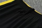 2026 Brazil (Training clothes) Adult Jersey & Short Set Quality