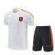 2026 Netherlands (Training clothes) Adult Jersey & Short Set Quality
