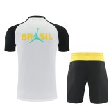 2026 Brazil (Training clothes) Adult Jersey & Short Set Quality
